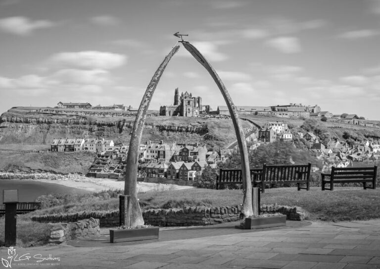 Whitby Whalebones Black and White
