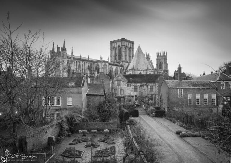 Winter Gardens At York Minster Black And White