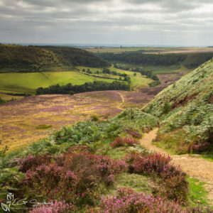 Yorkshire's Grand Canyon Hole Of Horcum Photo Slate