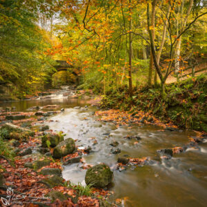 The Bridge To Falling Foss Photo Slate