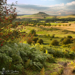 Roseberry From Gribdale Photo Slate