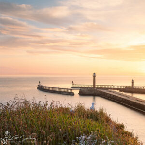 Whitby Seagulls At Sunrise Mini Foam Board Print