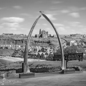 Whitby Whalebones Black and White Mini Foam Board Print