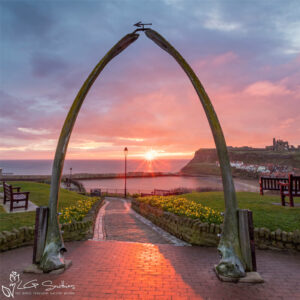 Whitby Whalebones In Spring Mini Foam Board Print