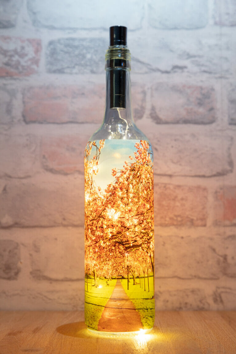 The Stray Harrogate Light Up Bottle