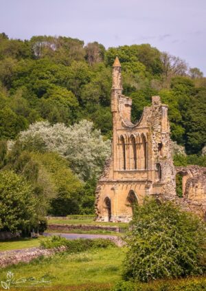 Byland Abbey