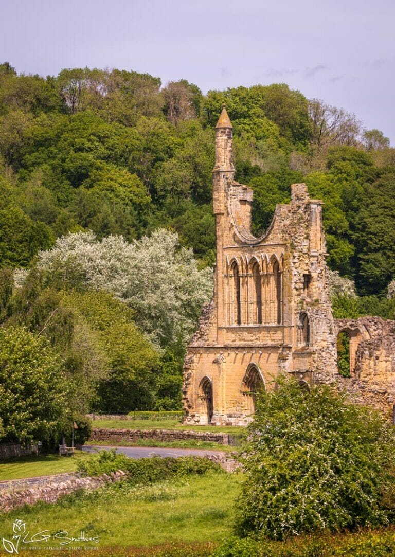 Byland Abbey