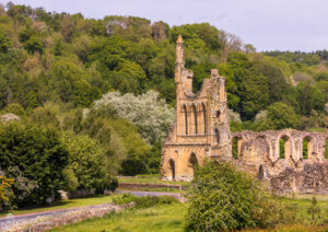 Byland Abbey Late Spring