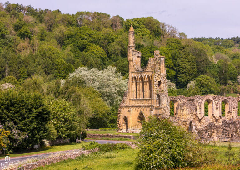 Byland Abbey Late Spring