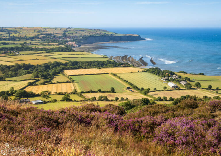 Ravenscar to Robin Hoods Bay On A Summers Afternoon