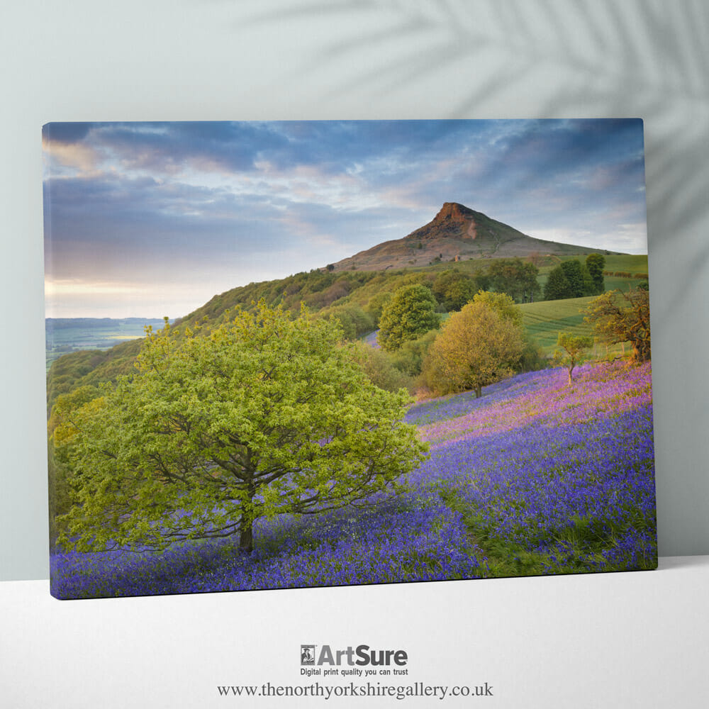 Roseberry-Topping-Bluebells-Canvas-Print Roseberry Topping Bluebells Canvas Print