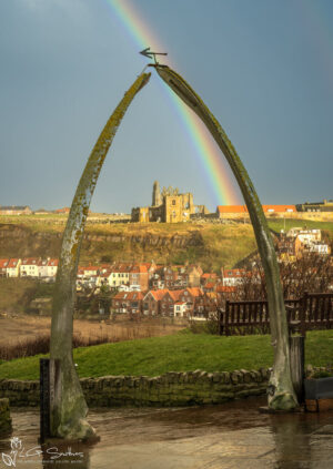 Whitby Whalebones Rainbow