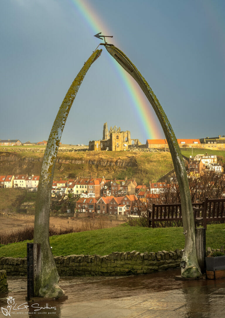 Whitby Whalebones Rainbow