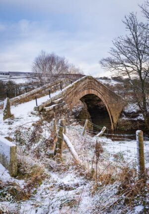 Duck Bridge In The Snow