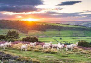 Great Fryup Dale From Glaisdale Rigg