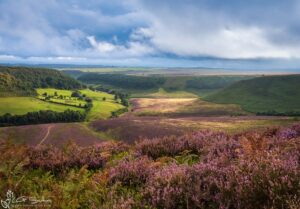 Hole Of Horcum
