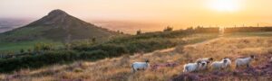 Sunset On The Cleveland Way Roseberry Topping Slim Panoramic