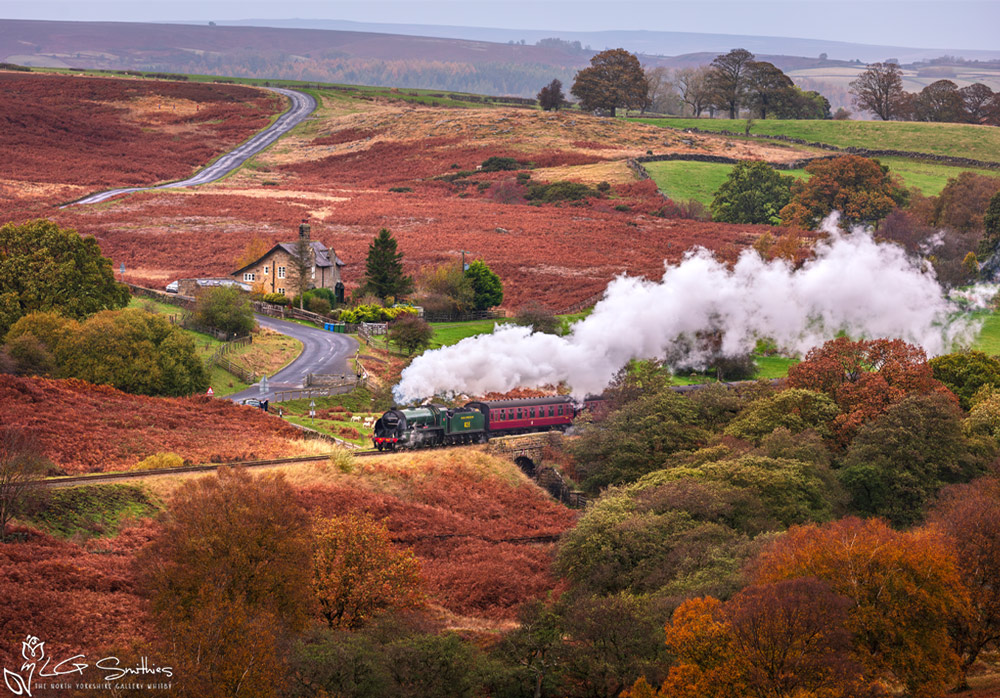 A Steam Engine Cutting Across The Beautiful Autumnal North York Moors