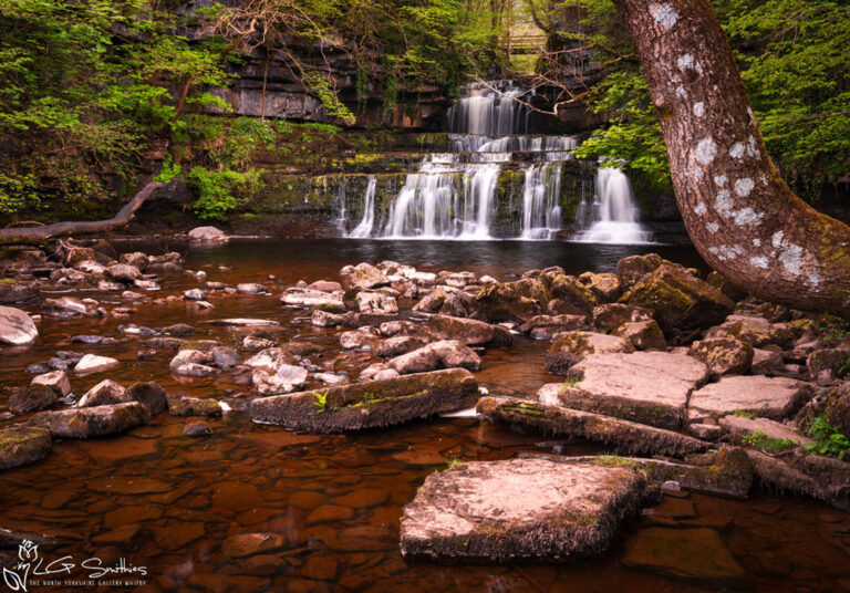Cotter Force Hawes