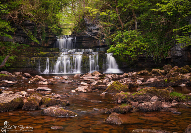 Cotter Force On A Spring Morning