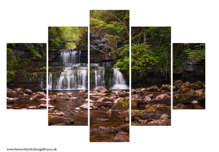 Cotter Force On A Spring Morning 5 PCS Wall Art