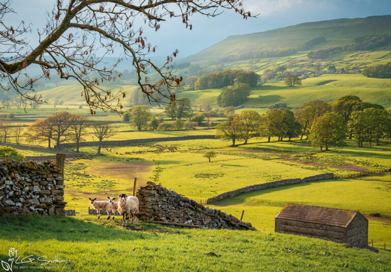 Hawes Yorkshire