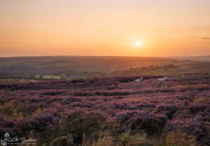Goathland Sunset North York Moors