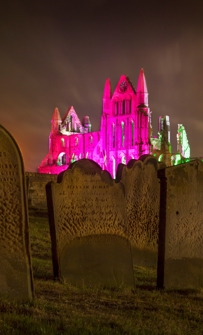 Dracula's Grave and Illuminated Abbey Light Up Bottle 3 Dracula's Grave and Illuminated Abbey Light Up Bottle Design