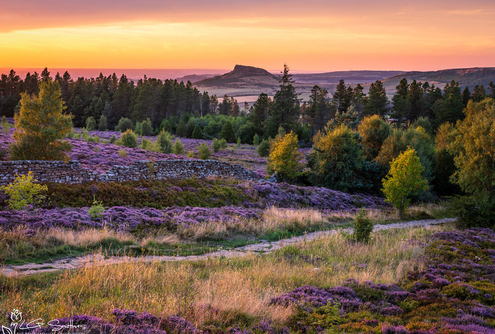 Discovering the North York Moors, Breathtaking Photography of Timeless Beauty and Rich History
