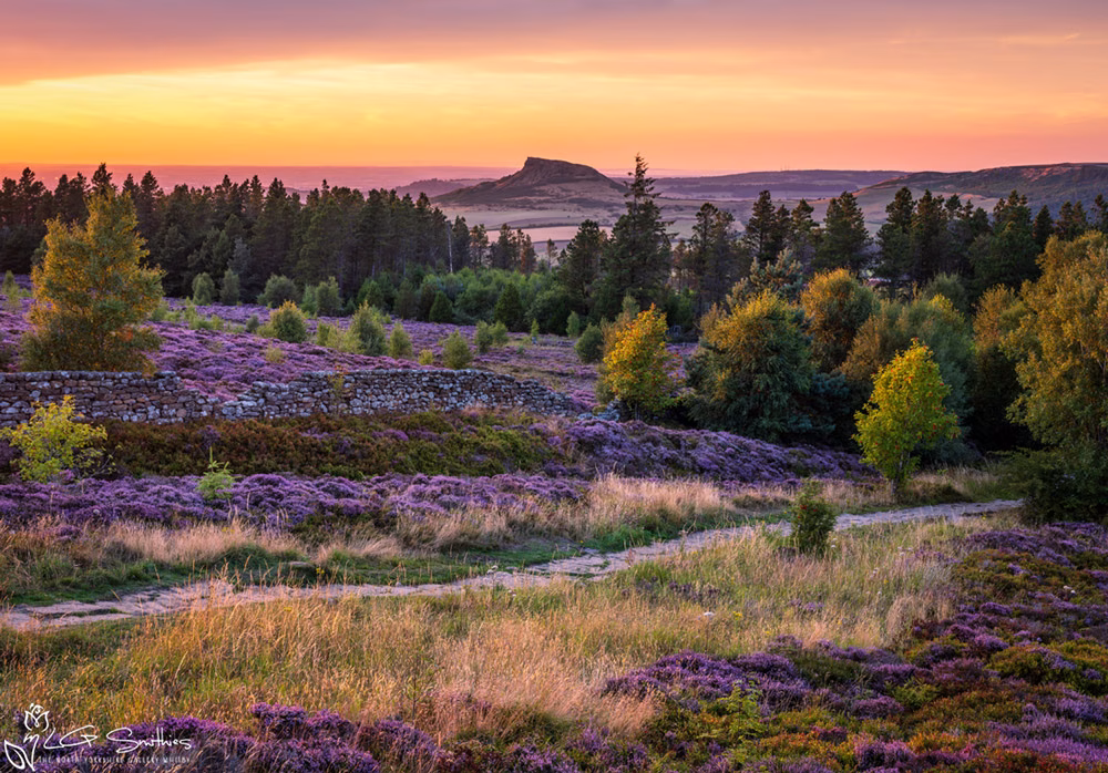 Golden Sunset Over Roseberry Topping And The Cleveland Way