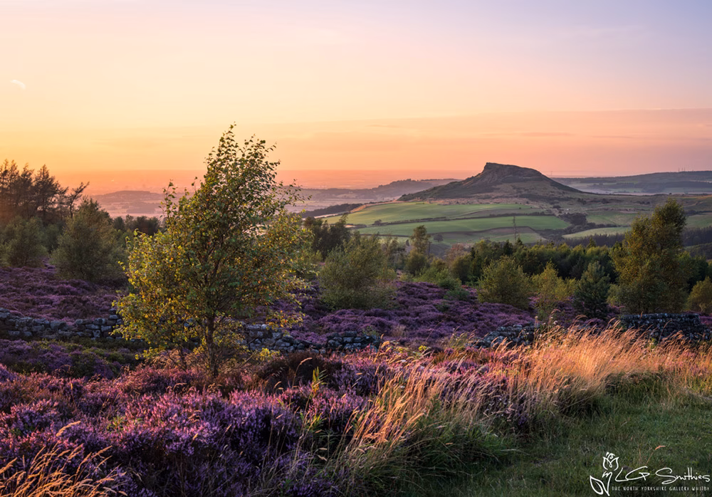 Golden Sunset Over Roseberry Topping And Heather Fields