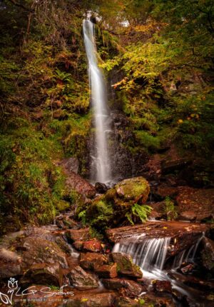 Mallyan Spout Waterfall