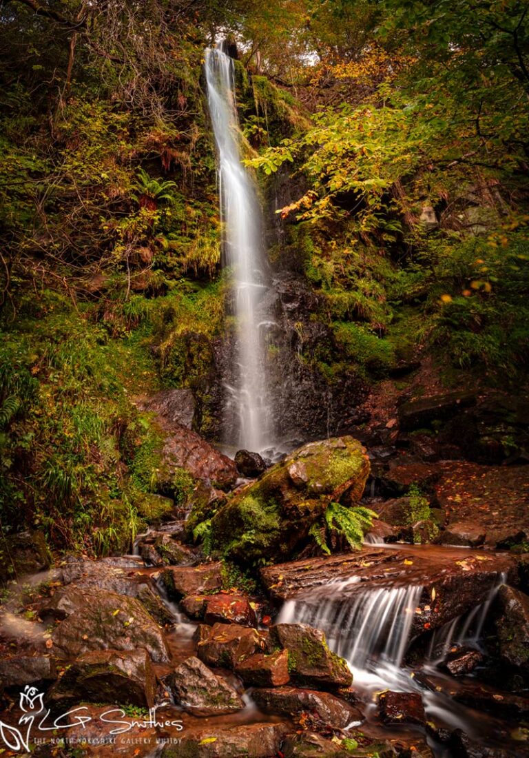 Mallyan Spout Waterfall