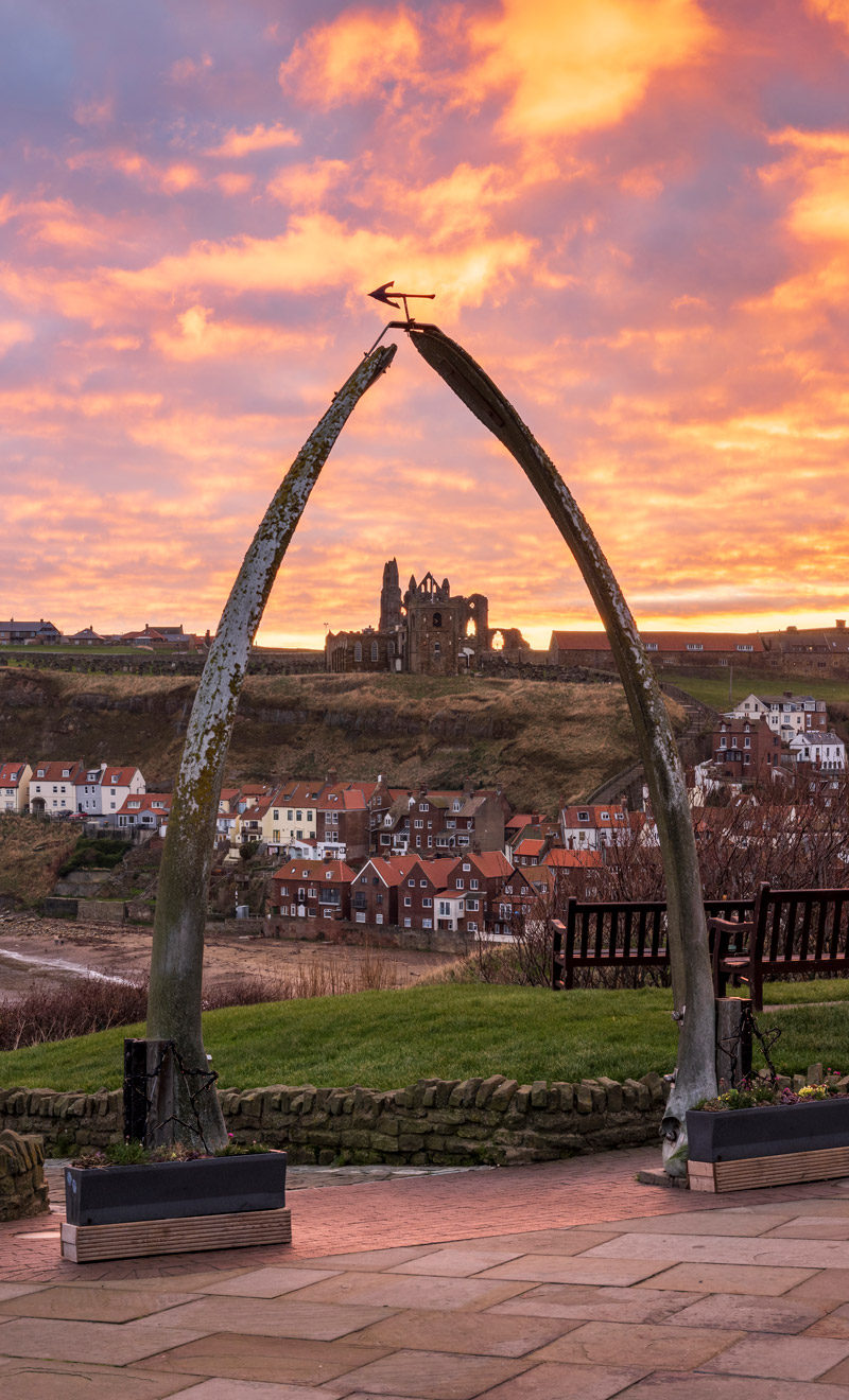Sky On Fire At Whitby Whalebones Light Up Bottle 5 Sky On Fire At Whitby Whalebones Light Up Bottle Design