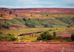 Steam Train Cutting Through The Glorious North York Moors