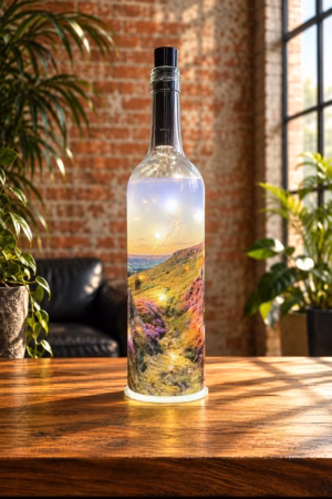 Danby Dale Light Up Bottle Lit