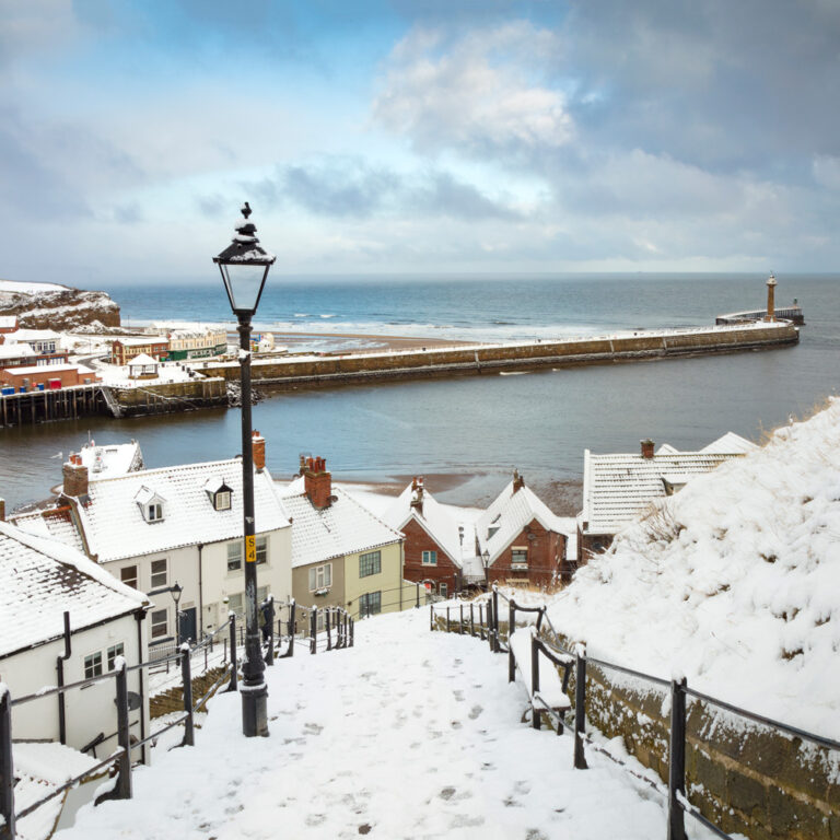 Whitby's 199 Steps in the snow coaster