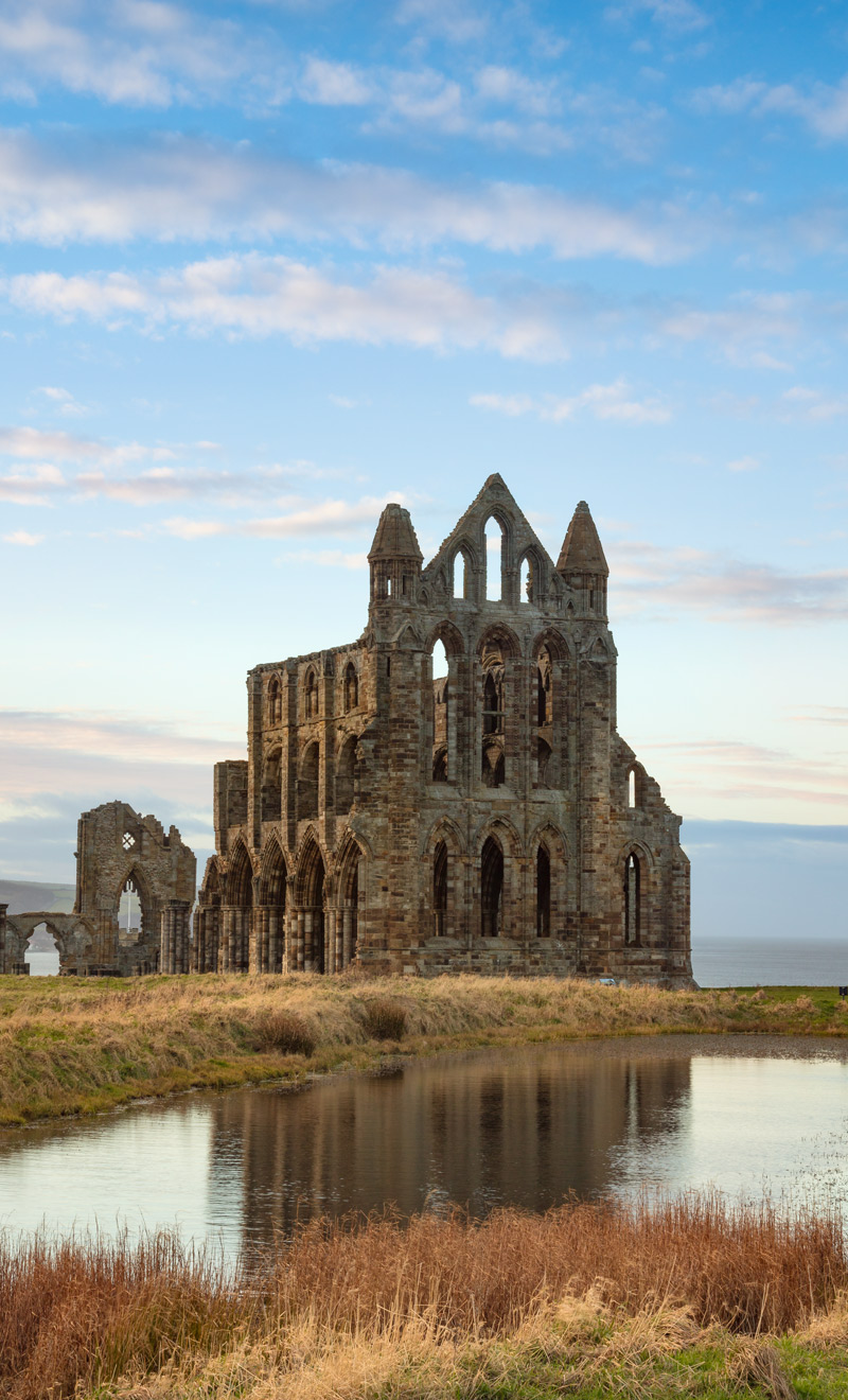 Whitby Abbey Winters Afternoon Light Up Bottle 3 Whitby Abbey Winters Afternoon Light Up Bottle Design
