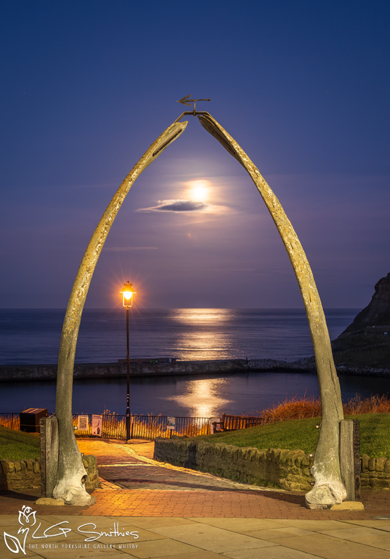 Yorkshire Coast Moonrise At Whitby Whalebones