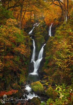 Stock Ghyll Force