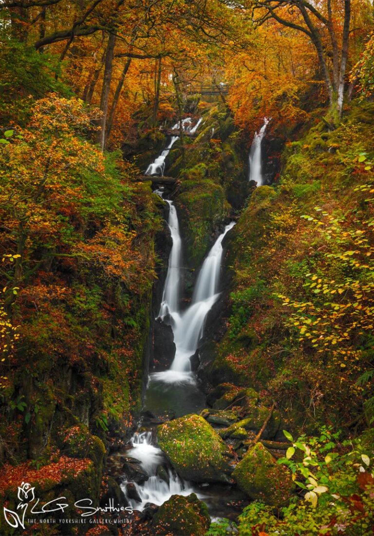 Stock Ghyll Force