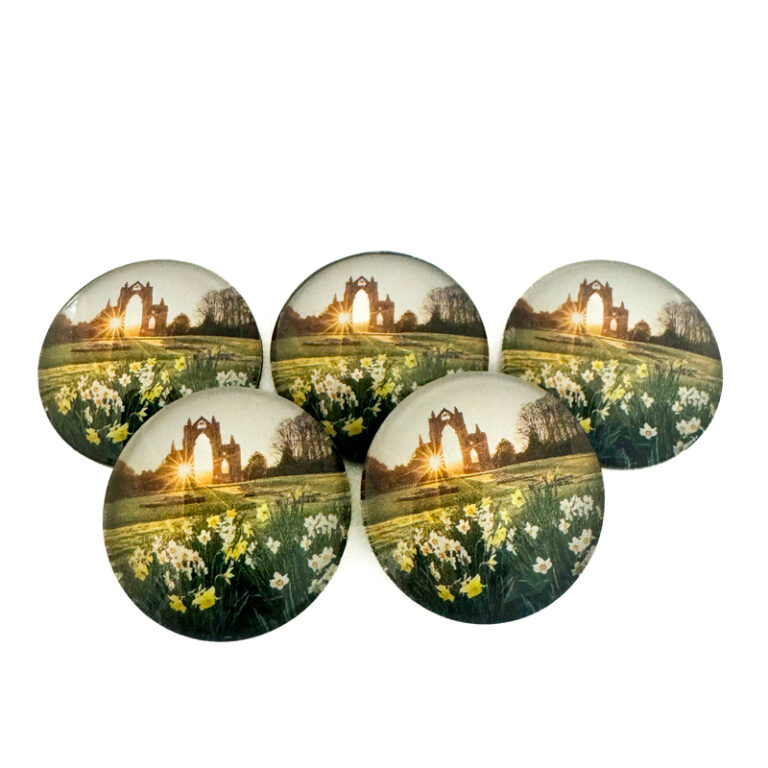 Gisborough Priory Pebble Magnet