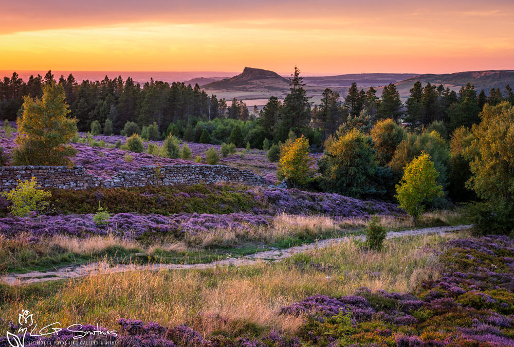 North York Moors Prints