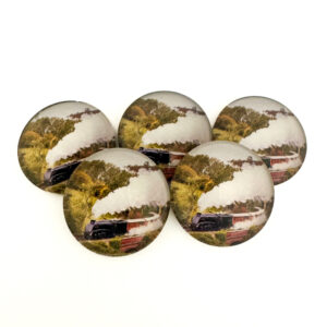 North Yorkshire Moors Railway Pebble Magnet