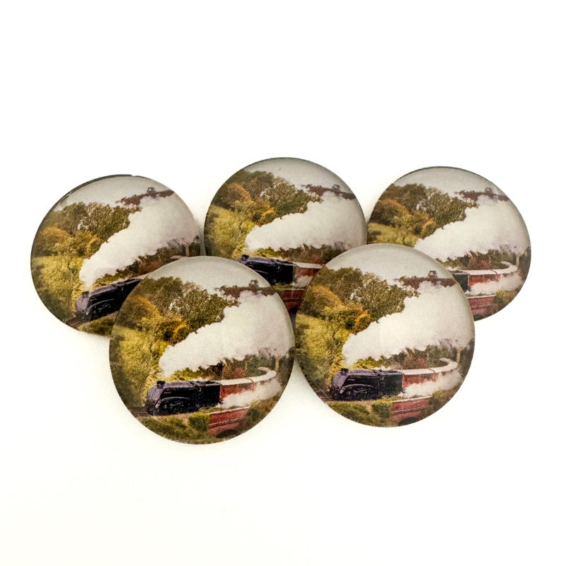 North Yorkshire Moors Railway Pebble Magnet 1 North Yorkshire Moors Railway Pebble Magnet