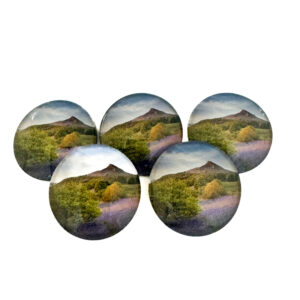 Roseberry Topping Bluebells Pebble Magnet