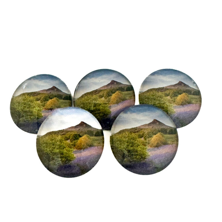 Roseberry Topping Bluebells Pebble Magnet