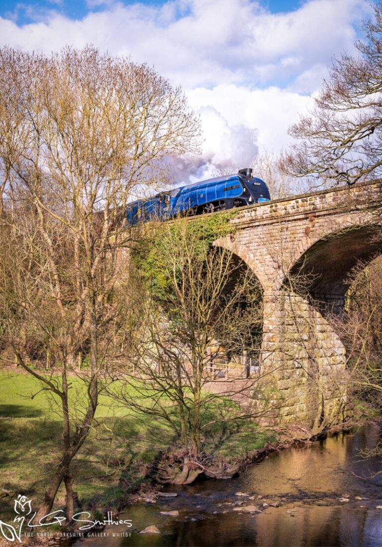 Sir Nigel Gresley Crossing The Murk Esk Near Esk Valley Cottages