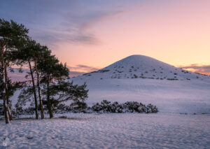 Snow Day, Freebrough Hill Moorsholm