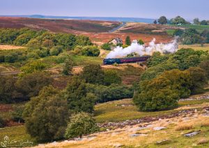 257 Squadron Loco During the 2025 NYMR Steam Gala